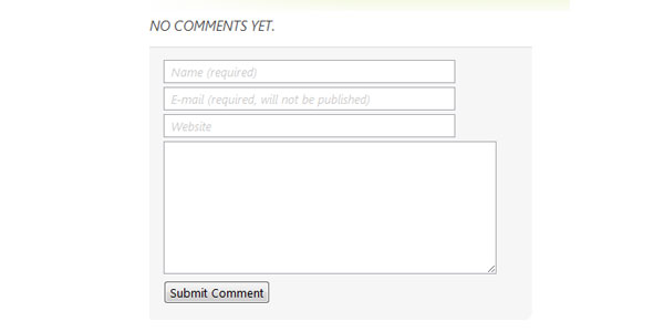 Comment Form