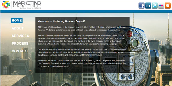 Marketing Genome Project